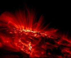 731px-sunspot-trace.jpeg